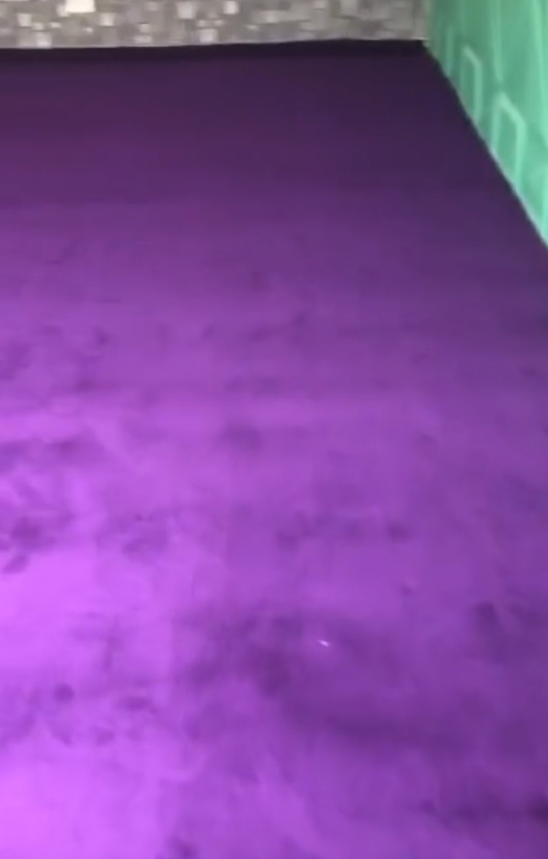 Purple Rugs for Rent in Lagos